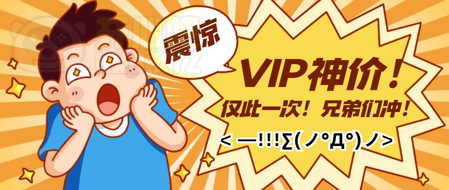 永久VIP神价